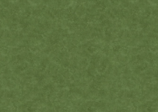 Forest texture