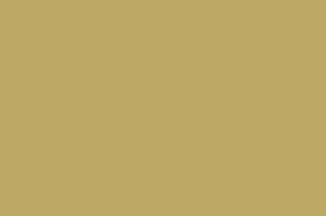 Civilized Plains texture